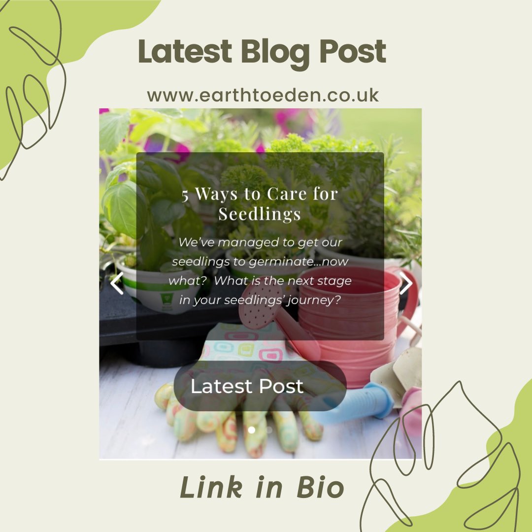 Check out the latest from the blog: “5 Ways to Care for Seedlings” earthtoeden.co.uk/5-ways-to-care… 

#seedlings #gardeningtips #gardeningblogger #gardenblog