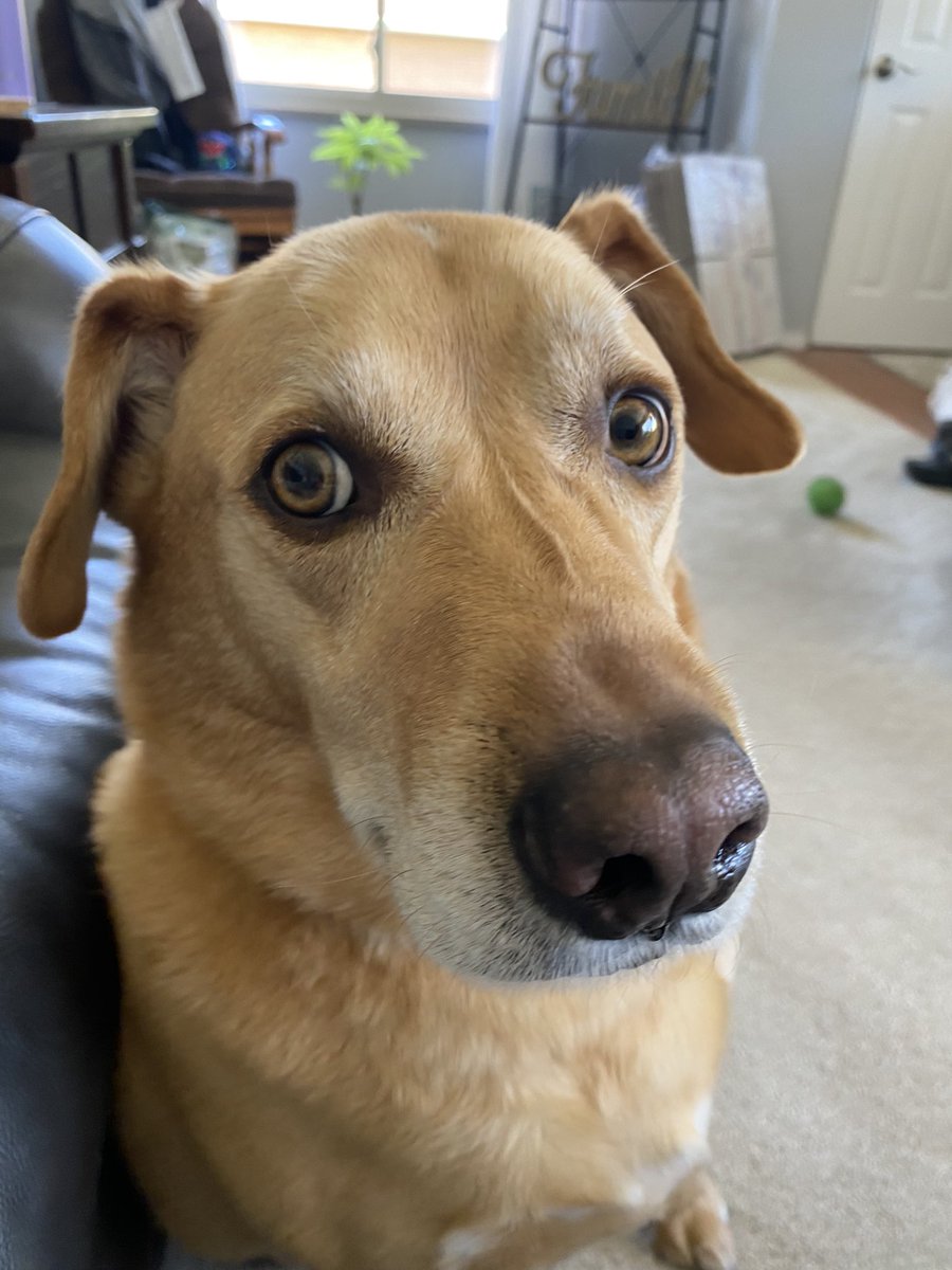 Jason Ball tweet media