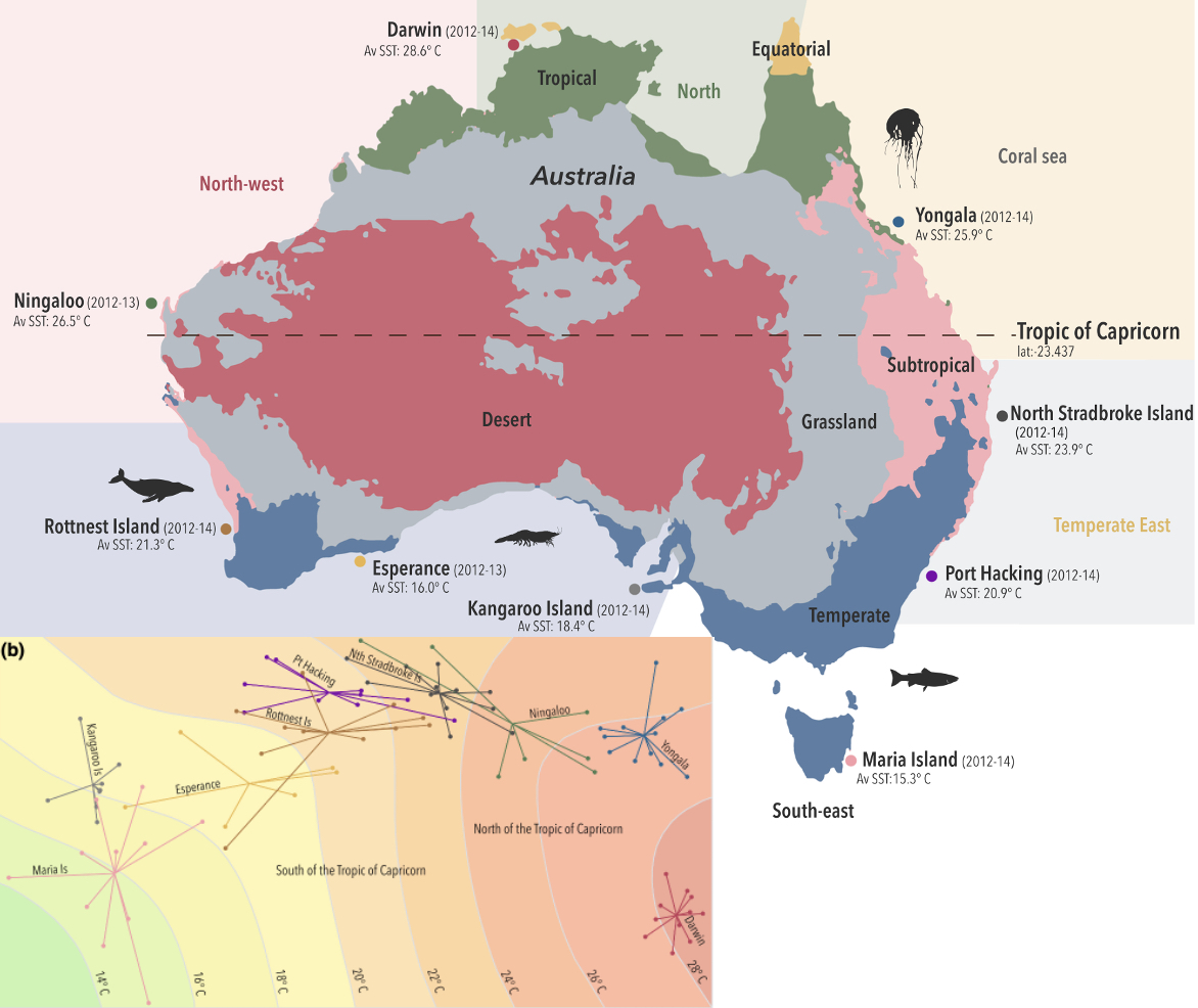 Want to travel all around Australia for 3 years and check out amazing ecosystems & marine species - including whales? Then check out Tina Berry's latest paper which uses temporal and spatial eDNA. thanks to @IMOS_AUS @Curtin_TrEnD and @CSIRO paper is at: doi.org/10.1111/ddi.13…