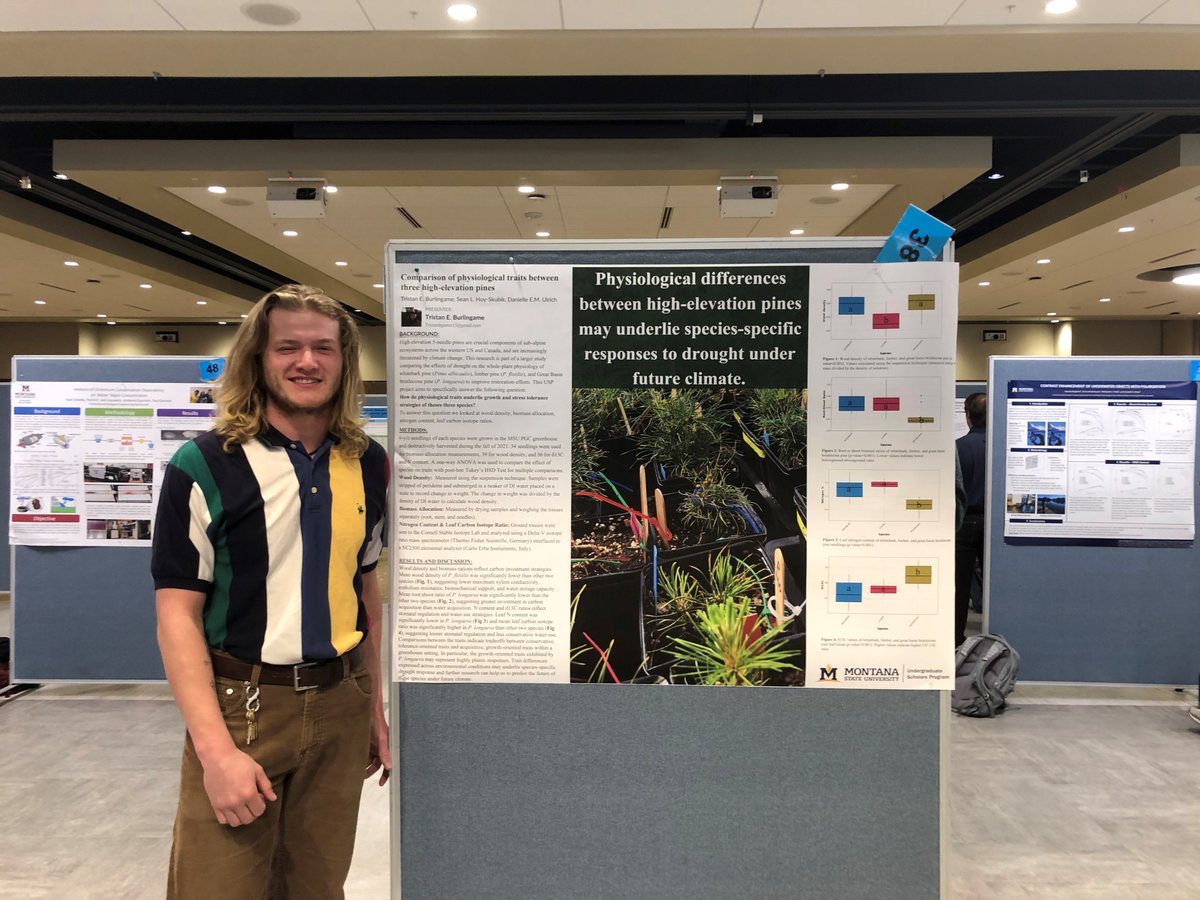 Danielle E. Marias Ulrich, PhD (서윤주) (@danielleemarias) on Twitter photo Stellar poster presentations <a href="/montanastate/">Montana State University</a> Undergrad Scholars Program Spring Celebration! Congrats to the hard work of Ulrich lab undergrads Tim, Grace, Naomi, and Tristan, and their grad student mentors Sean and Katie 🙌👏 Stellar poster presentations <a href="/montanastate/">Montana State University</a> Undergrad Scholars Program Spring Celebration! Congrats to the hard work of Ulrich lab undergrads Tim, Grace, Naomi, and Tristan, and their grad student mentors Sean and Katie 🙌👏