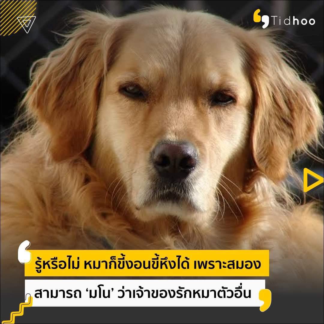 เฌอภัทร tweet media