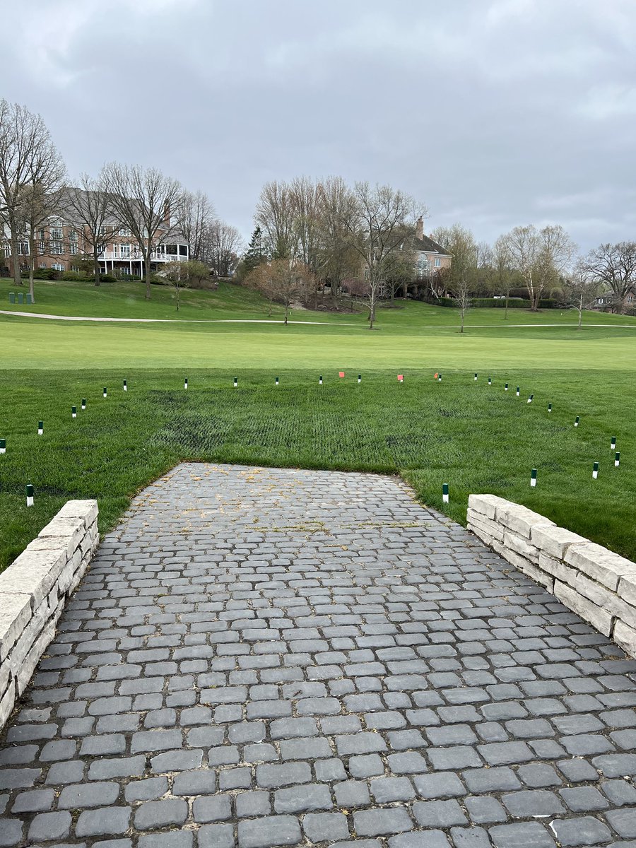 Traqmatz tweet media