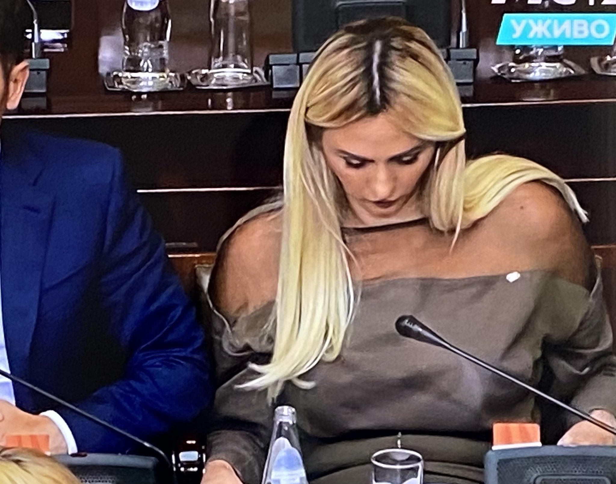 Slika