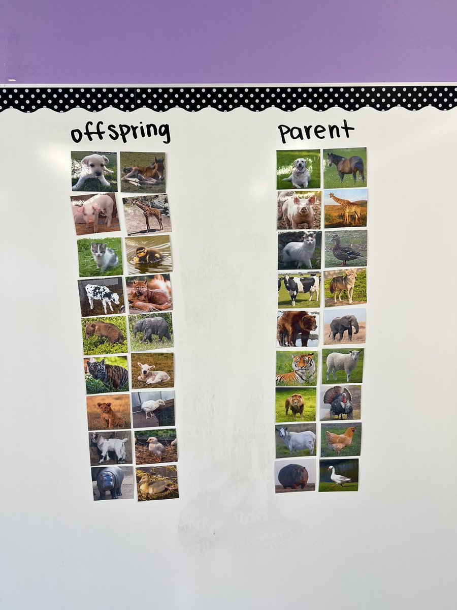 Caroline Wiley tweet media