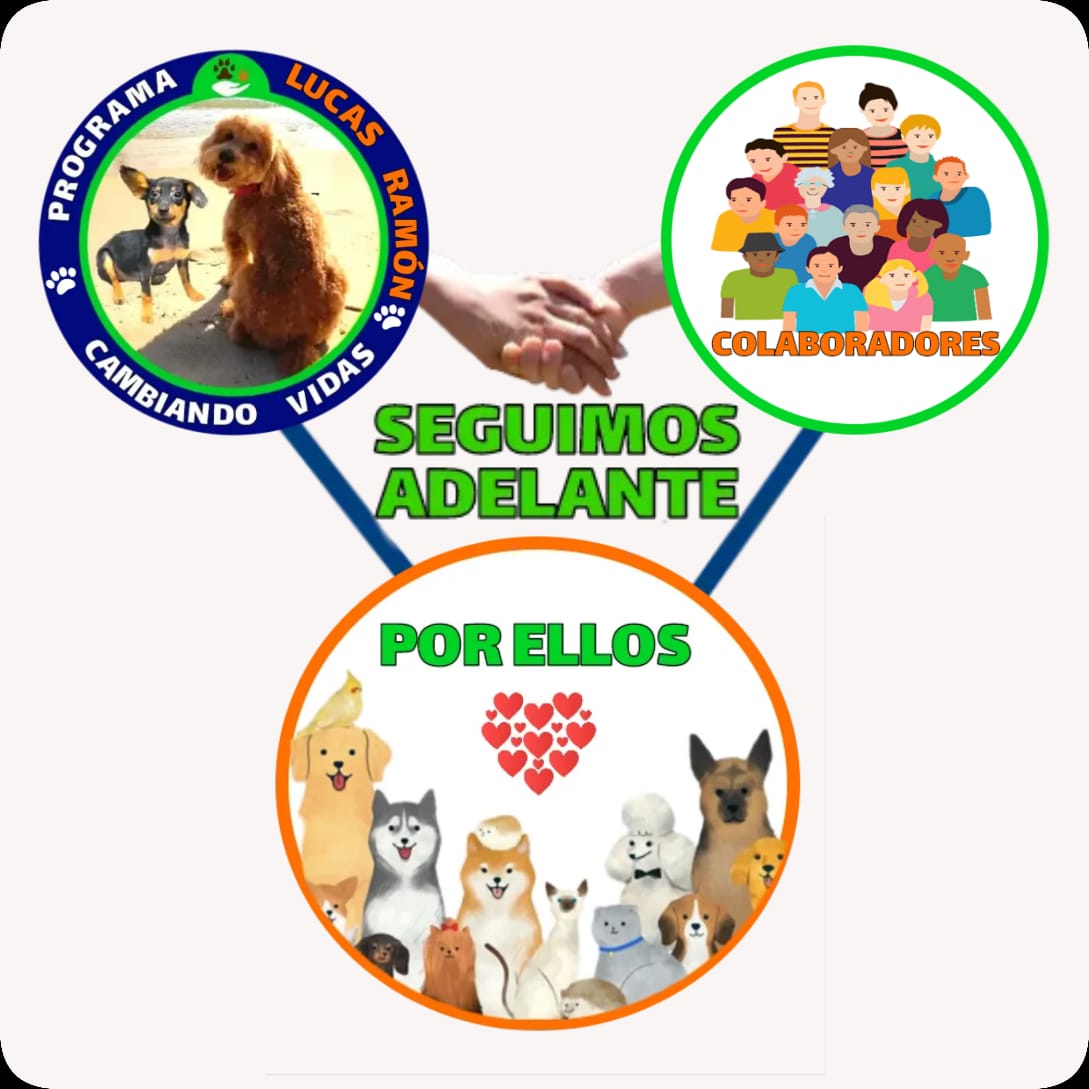 SEGUIMOS ADELANTE, SEGUIMOS HACIENDO HISTORIA 😃😃😃😃 <a href="/ligiasosa/">𝘓𝘪𝘨𝘪𝘢 𝘚𝘰𝘴𝘢</a> gracias mi estimada amiga