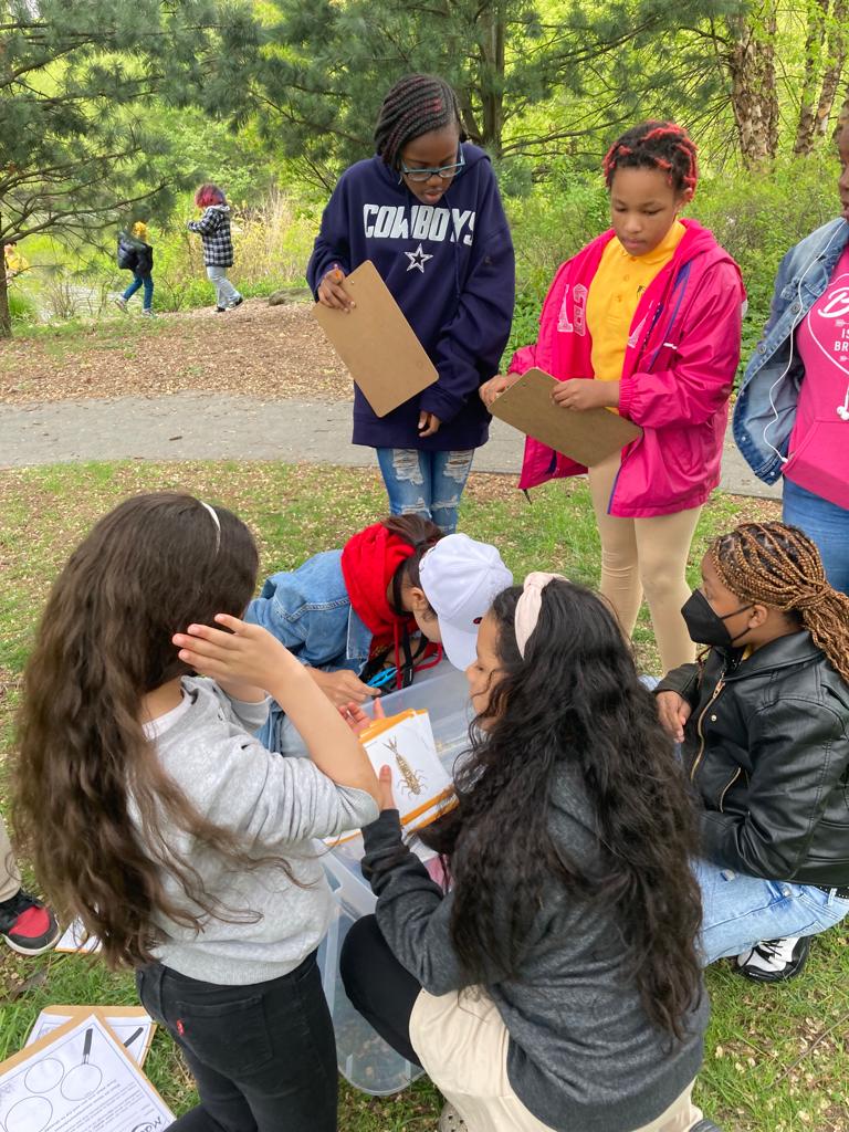 HeyBccs's tweet image. Learning is refreshing and fun in the park! Our 2nd and 3rd graders visited Prospect Park for a nature investigation and connection with Seeds to Trees. @CommunitySupt16 @D16LEADS @NequanMclean @CMChiOsse @stefanizinerman @JabariBrisport