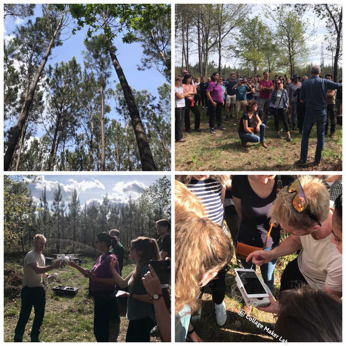 ColombeWarin's tweet photo. Thank you to 🇪🇺@SUPERB_project for the #forest demo visit today near #bordeaux 🇫🇷 to learn more about how #hedgerows along #pine #plantations can promote #biodiversity 🌱 and provide corridors for dispersion of #wildlife 🐸 https://t.co/G2ZGmBjEdT