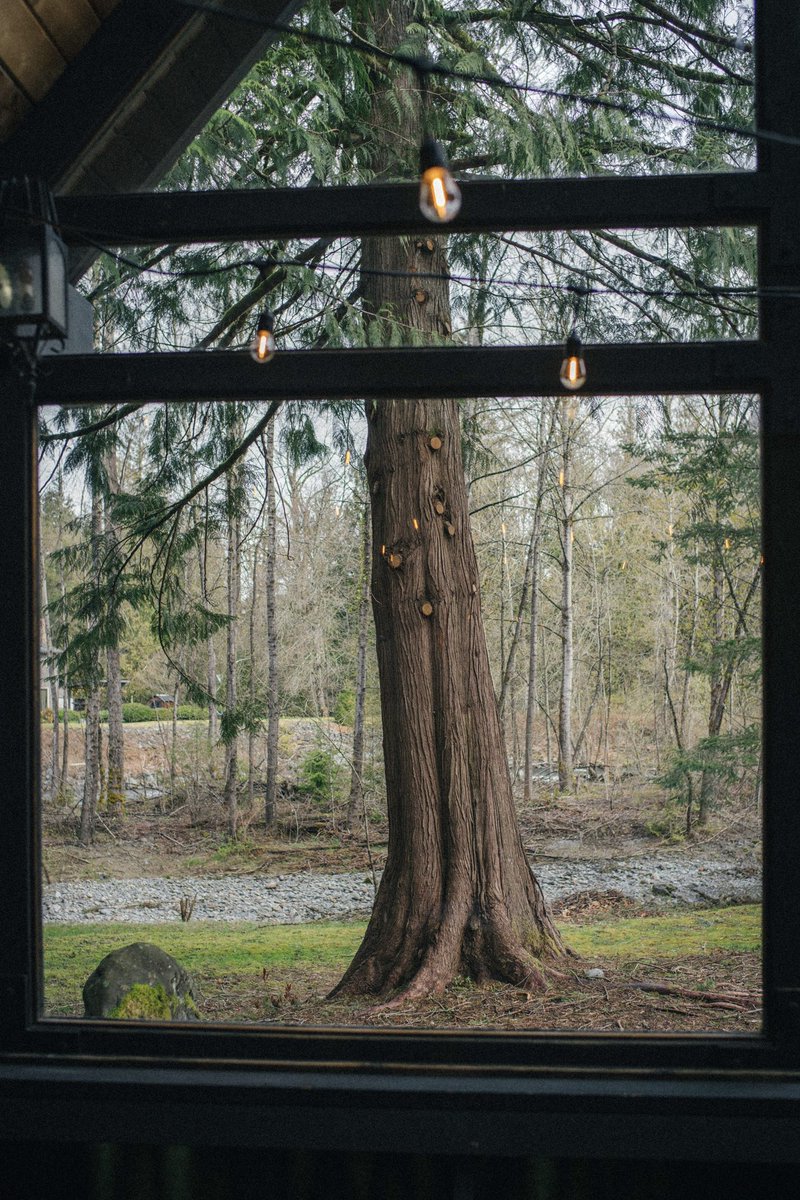 Justin D Kauffman tweet media