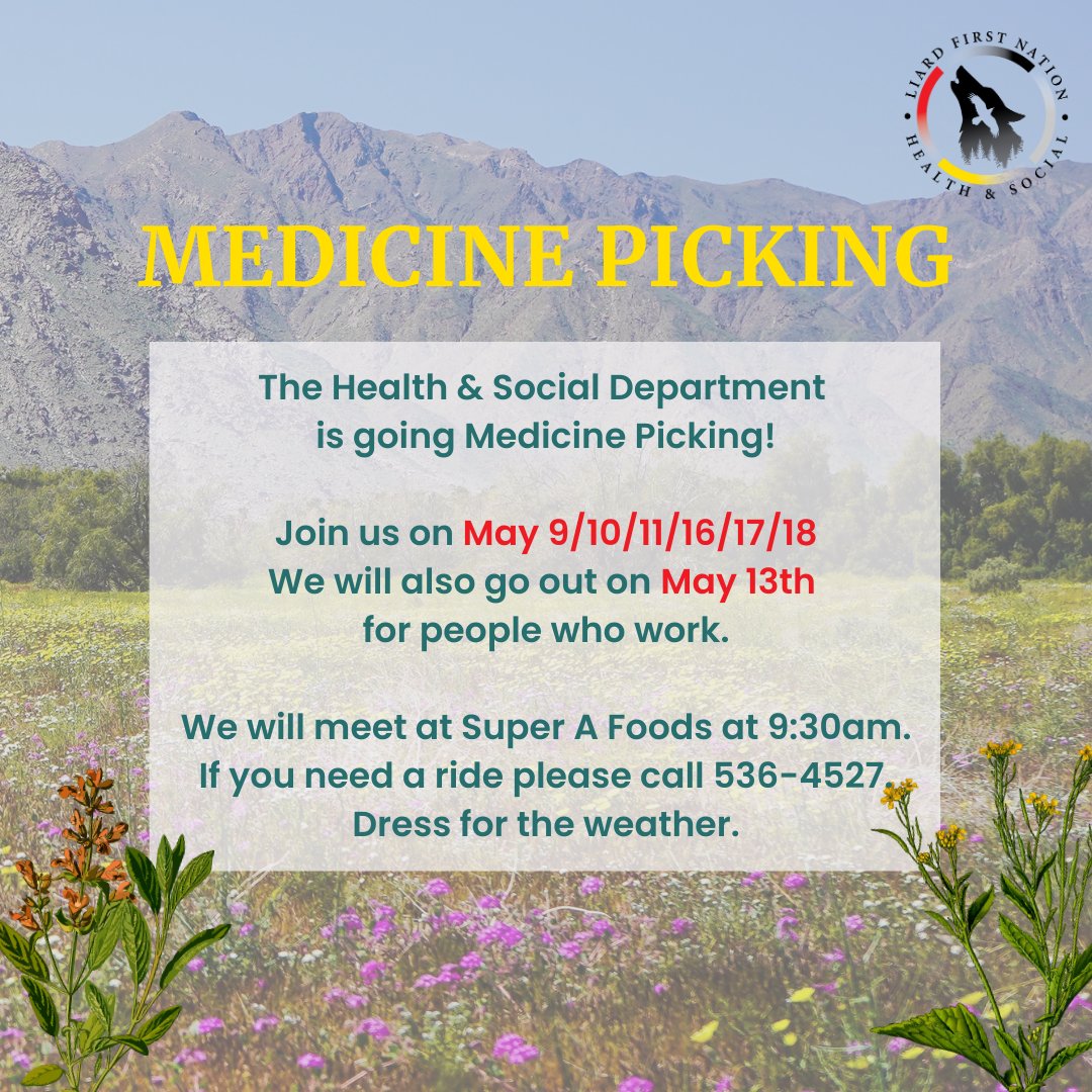 Liard_FN's tweet photo. The Health &amp; Social Department will be hosting Medicine Picking on May 9,10,11,16,17,18, as well as May 13th for people who work.

We are meeting at Super A Foods at 9:30am on the above dates. We would love to see you there! 

#TraditionalMedicine #MedicinePicking #FirstNations https://t.co/i8mYd8Dx8X