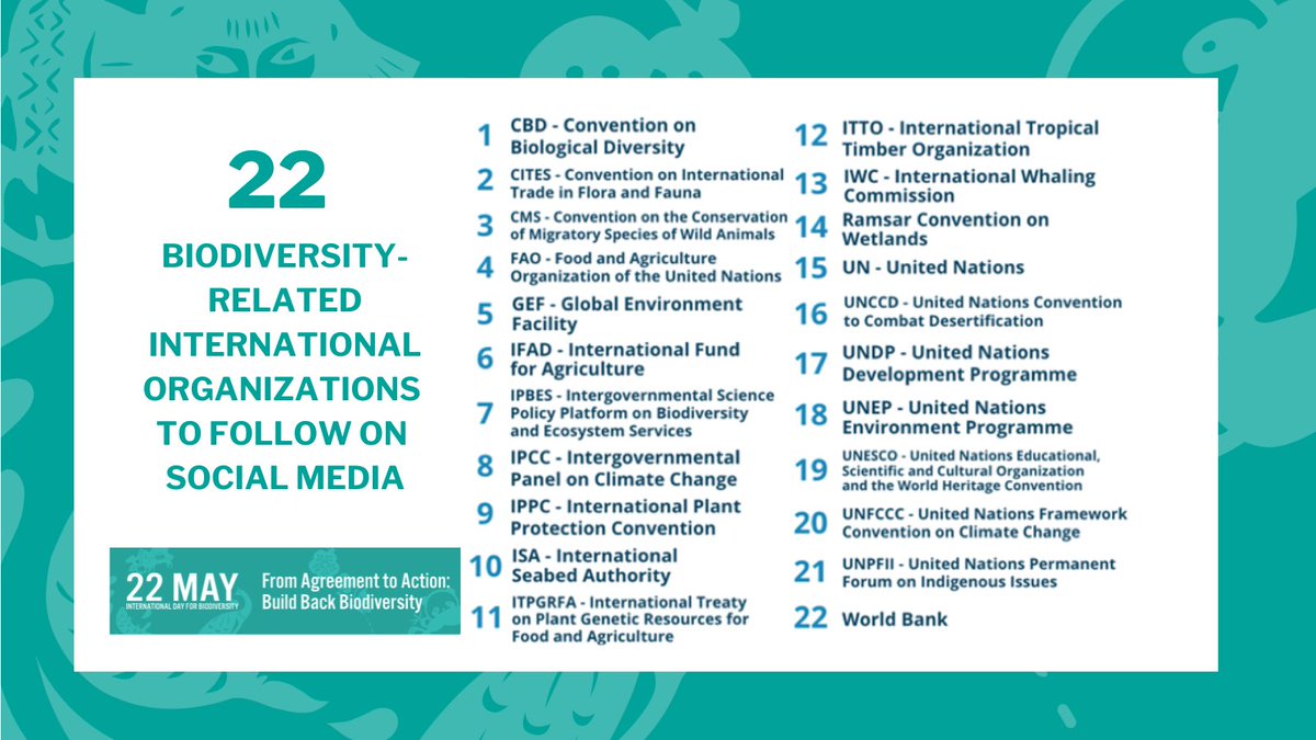 UNBiodiversity's tweet photo. Looking to #BuildBackBiodiversity? 

Follow these 22 international organizations on social media to stay informed and engaged! 
🍄🌳🐛🌸

#BiodiversityDay
#AgreementToAction #KMBGF https://t.co/AP6x2QdoSF
