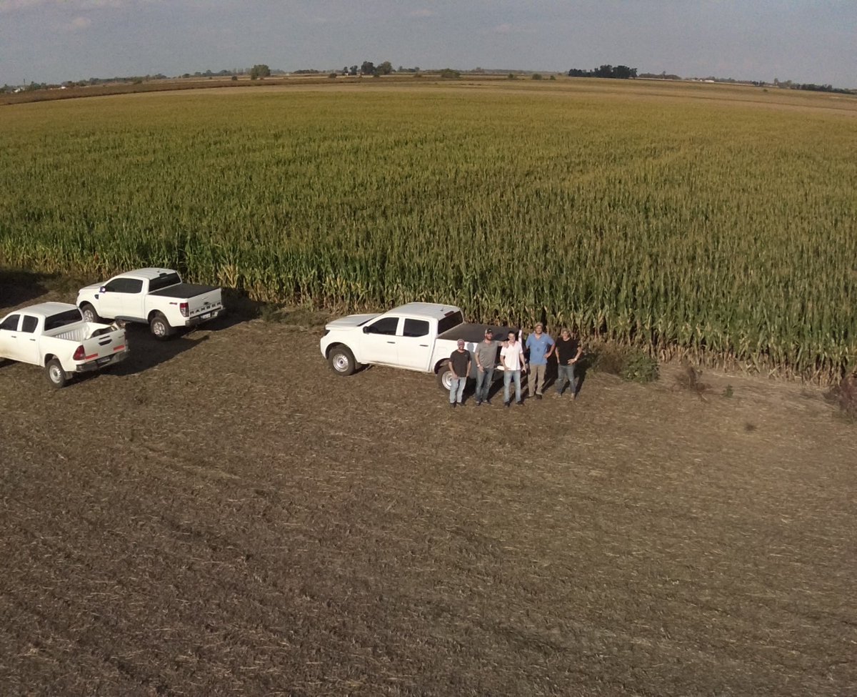 cpedernera23's tweet photo. Vuelo de ensayos #fungicida en maiz. Análisis de las imágenes con #Cropwise. 
@Syngenta_ar 
@FascioliGabriel https://t.co/1gWjeSS7Xo