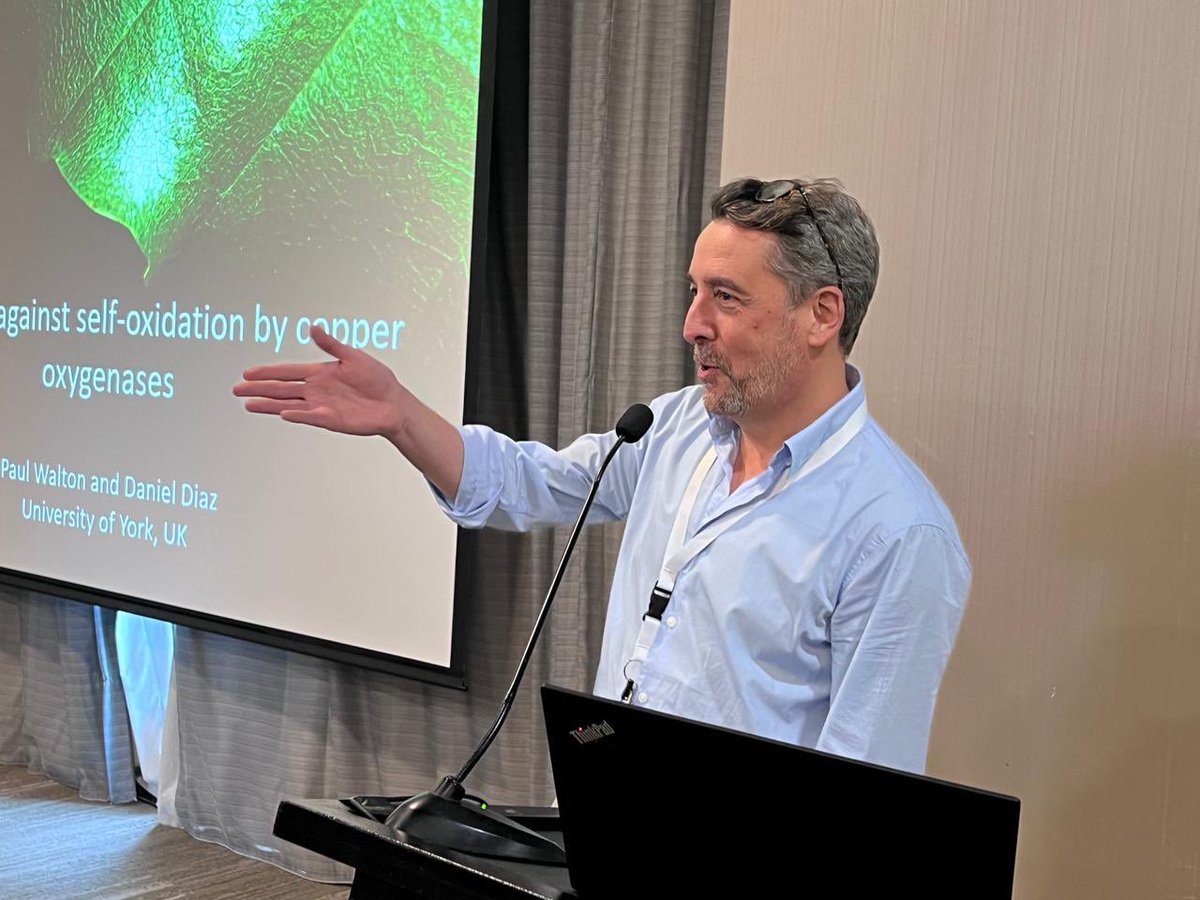 Part of the plenary and keynote speakers that accompanied us this morning session #LABIC2023 #labic2023 <a href="/LABIC2023/">LABIC 2023</a> <a href="/paulhwalton/">Paul Walton</a> <a href="/KarlinLab/">Karlin Lab</a> <a href="/DanielMurgida/">Murgida Lab</a>