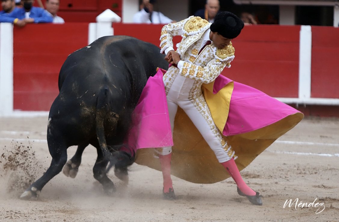 Alejandro Adame tweet media