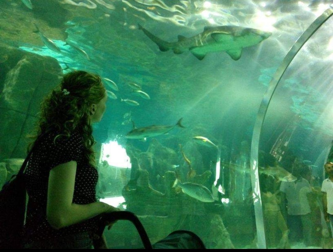 #yangın
#tuğbayıihmalleröldürdü Hayat doluydun,çok gençtin,yapacak daha çok şeyin vardı,her şey eksik,herkes yarım kaldı...