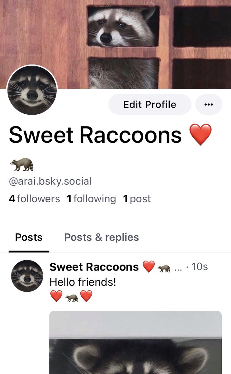 ARAI ❤️🦝 tweet media