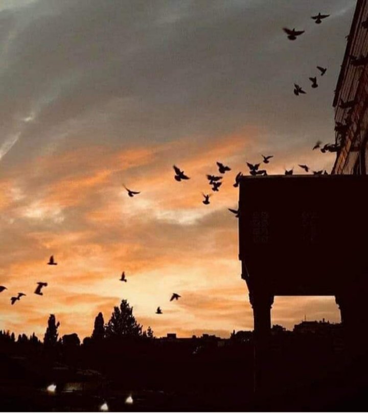 Belki de Yarın'ın daha iyi olacağına İNANMAK ,

Günü bitirmenin en iyi yoludur..!

Dem ola 💚