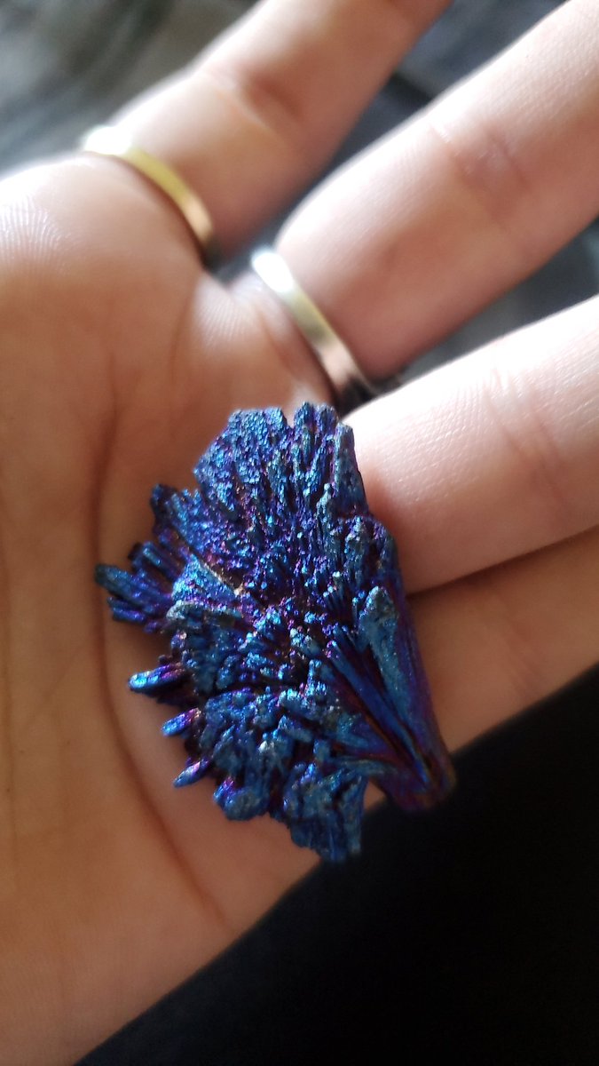 нєαтнєя вιя∂у on Twitter: 