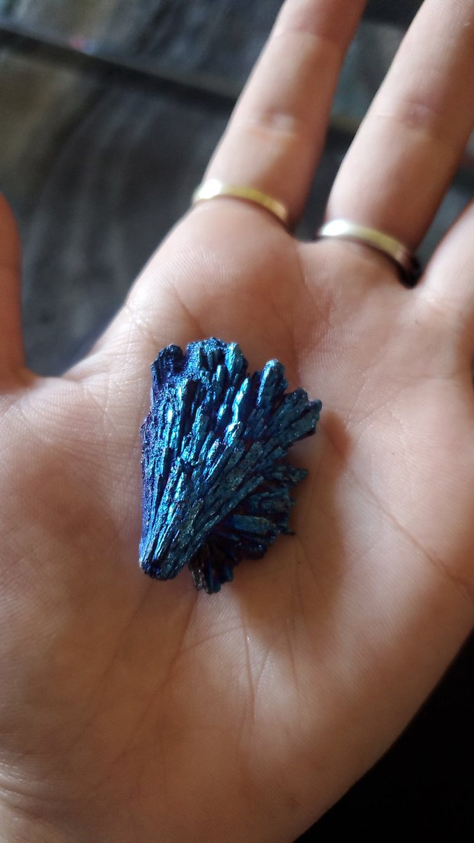 нєαтнєя вιя∂у on Twitter: 