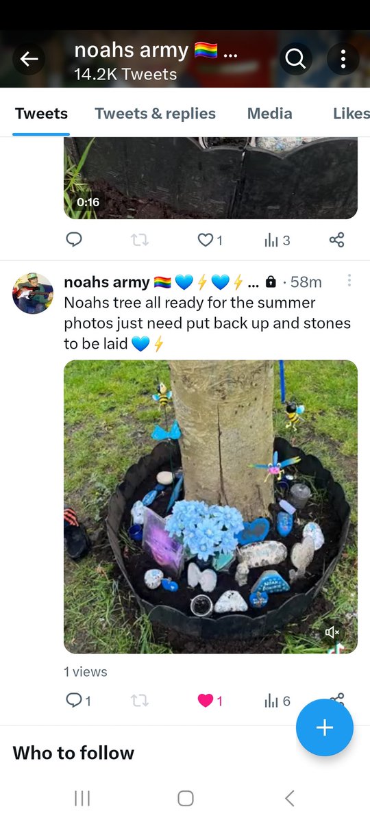 ChrisyMc4's tweet photo. #RememberMyNoah💙
#Week148
#NoahsArmy ⚡️
#Belfast
#Ireland
Thanks to B for looking after Noah's tree , its beautiful
💙⚡️💙 https://t.co/gCwvYByPLN