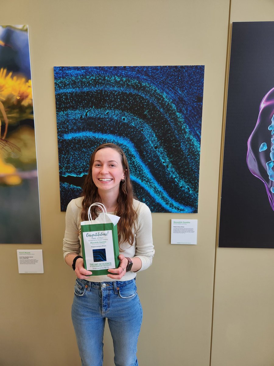 TheMarvinDiaz's tweet photo. Congrats to Dr. @MeredithEGamble for getting 2nd place in the @binghamtonu Art of Science competition (visualizing the unseen category) with her capture of GFAP expression in the hippocampus 👏 🏆 🥈🎉🎊 👏 https://t.co/RE9YjZiezr