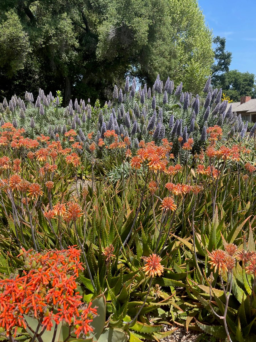 Frances Arnold tweet media