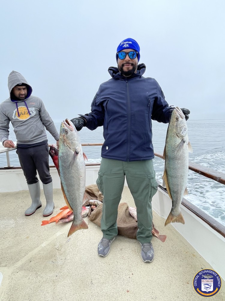976tuna's tweet photo. Navegante Open Party 1.5-Day Trip Tuesday, May 2nd https://t.co/oMlPG6K1Vt #navegante #redondobeachsportfishing #whiteseabass #fish #fishing #fishingtrip #oceanfishing #socalfishing #fishingtrip #goodtimes #hottrip #livebait #saltlife #saltwater #tasty #redondo https://t.co/hBdLBsr0yW