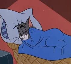 BelowZEsports's tweet image. Me sleeping knowing the RLCS Spring Qualifier is tomorrow.

#BelowZero #RocketLeague