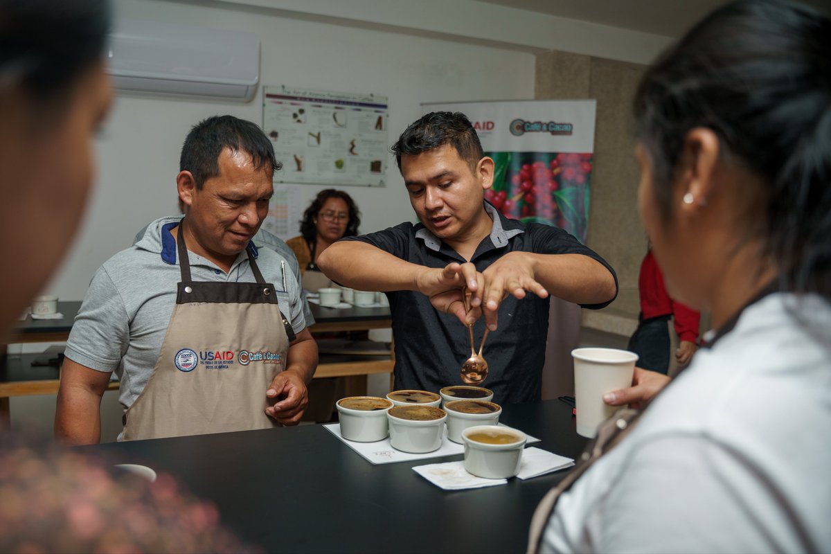 CafeCacaoPeru's tweet photo. El programa sigue las normas, protocolos y estándares de @SpecialtyCoffee (SCA) y @thecqi (CQI), con la guía de nuestra unidad académica. ¡Felicidades a los participantes por su formación! 💪🍒#CaféEspecial #FormaciónProductores #ProyectoCCE @USAIDPeru https://t.co/DGRlwd5Uhw