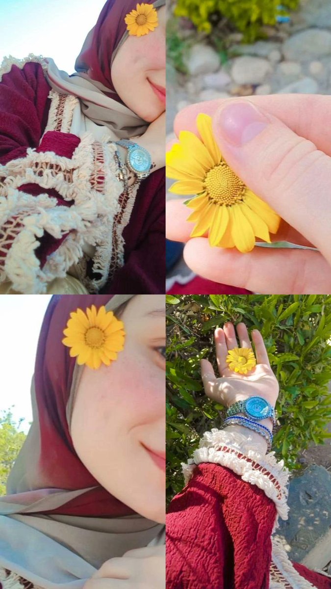 🌻💚💚💚💚💚💚💚💚💚💚💚💚💚💚💚💚💚💚💚💚💚💚💚💚💚💚💚💚💚💚💚💚💚💚💚💚💚💚💚💚💚