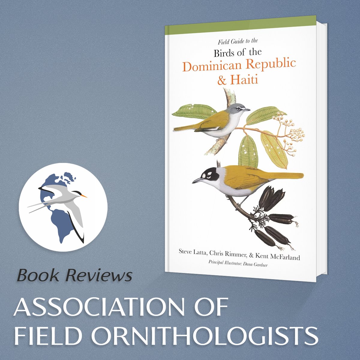 New on the website: a review of the Field Guide to the Birds of the Dominican Republic and Haiti, courtesy of Adrianne Tossas bit.ly/3oK1NOJ | #ornithology #birding #bookreviews #fieldguide