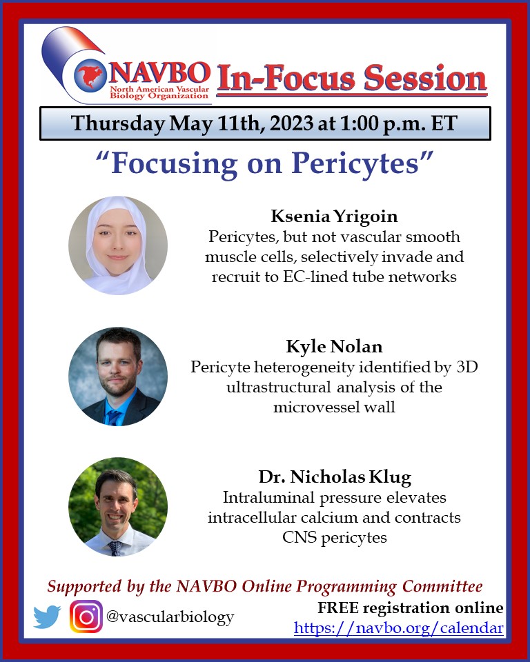 Join us for our next InFocus Session: Focusing on Pericytes on Thursday May 11th at 1 PM ET! Speakers were chosen from abstracts submitted for IVBM 2022. 

FREE registration here: conta.cc/3k9wOXf