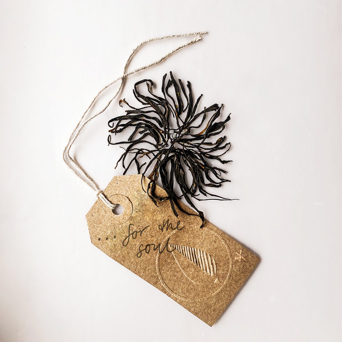 Canton Tea tweet media