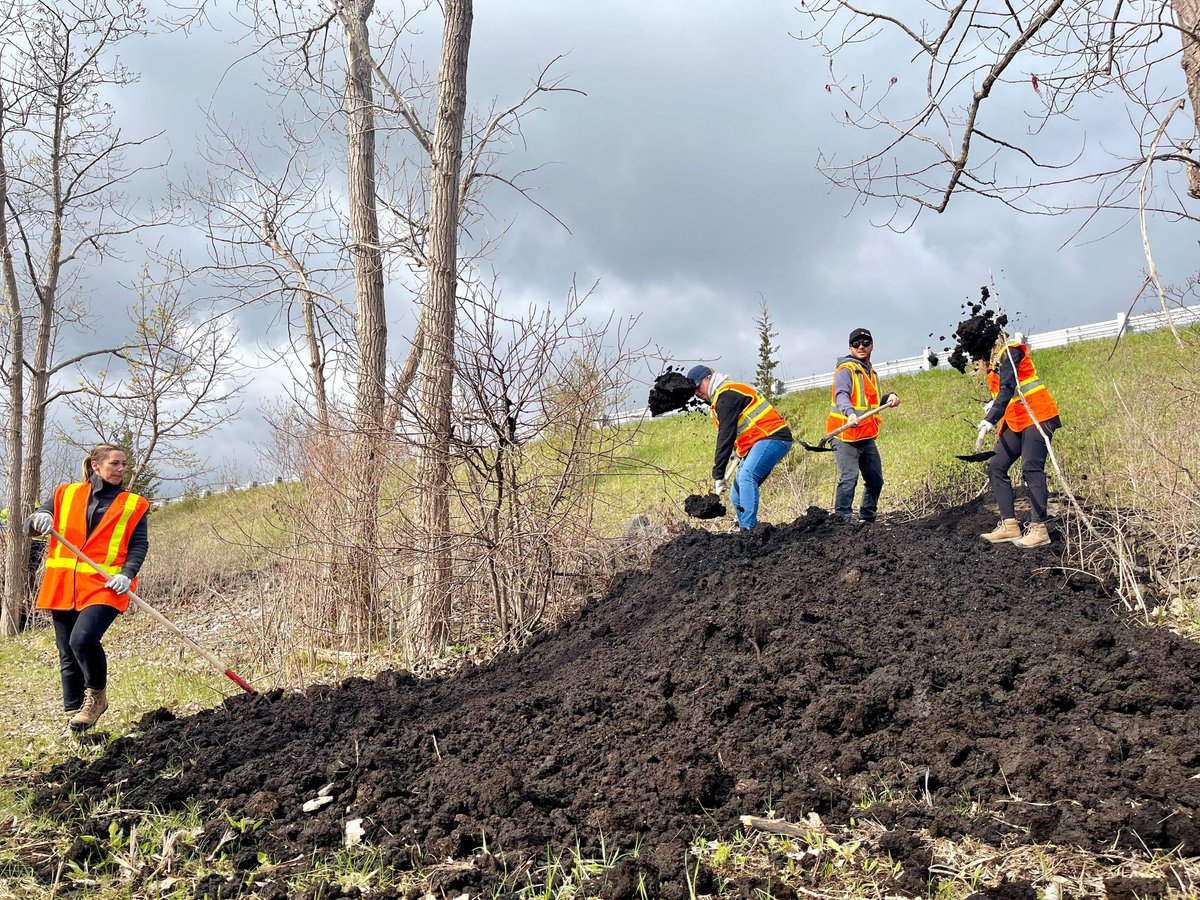 ThoroldON's tweet photo. Thank you to @ThoroldNation &amp; Walker Industries for their partnership on the Port Robinson eco-park project. Together, we created improved natural habitats for the barn swallows, bluebirds, bats, turtles and ducks who frequently inhabit the area.

🔗 https://t.co/u0CBYockwz https://t.co/2nvG8AvOmB