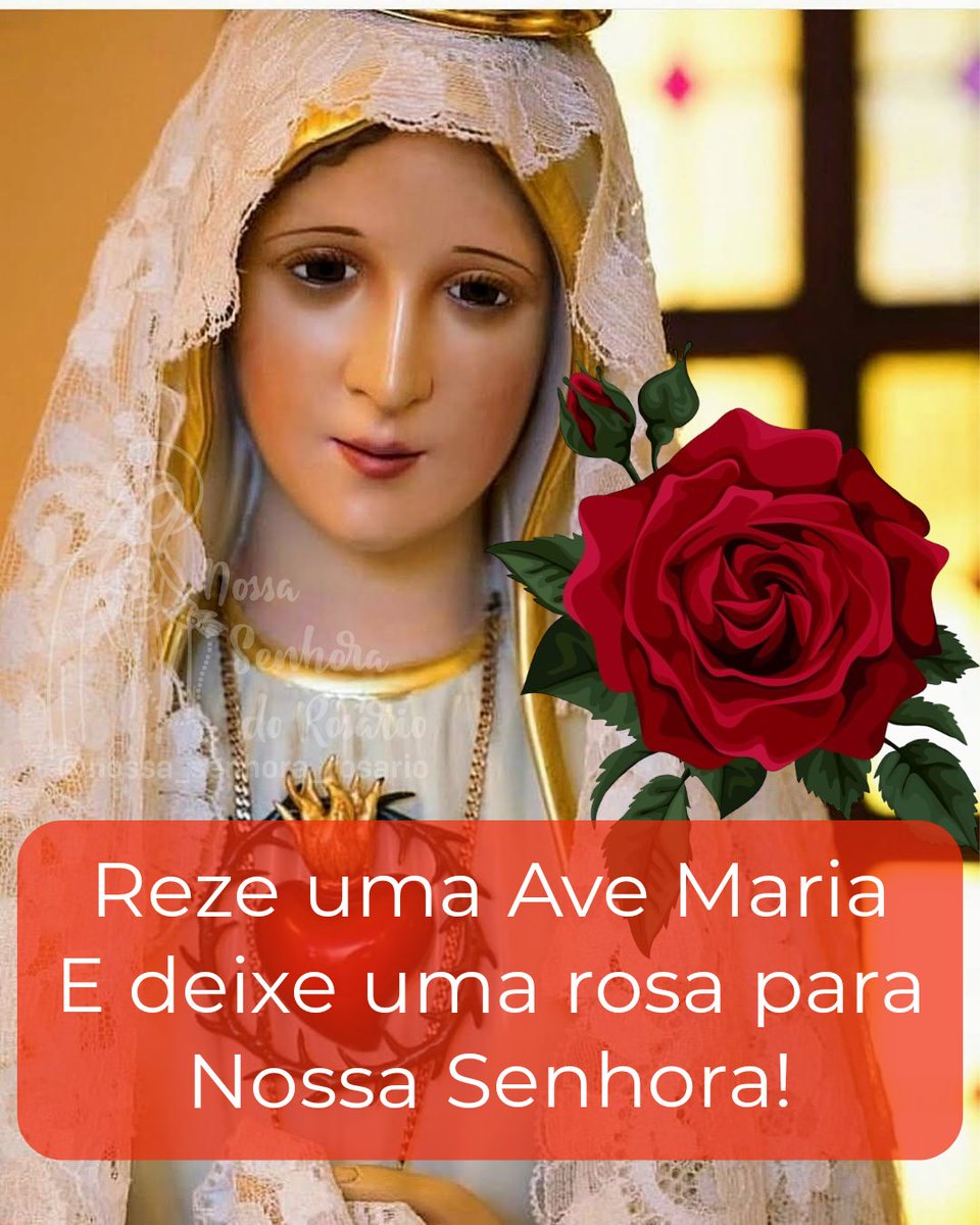 NSenhoraRosario's tweet photo. Hora da Ave-Maria!

Ave-Maria , cheia de graça , o Senhor é convosco , bendita sois vós entre as mulheres , e bendito é o fruto do vosso ventre , Jesus . Santa Maria , Mãe de Deus , rogai por nós pecadores , agora e na hora de nossa morte .

Amém!? 🙏❤️🌹🌷🌹🌷🌹🌷🌹🌷🌹🌷 https://t.co/Fm4rJK7gRA