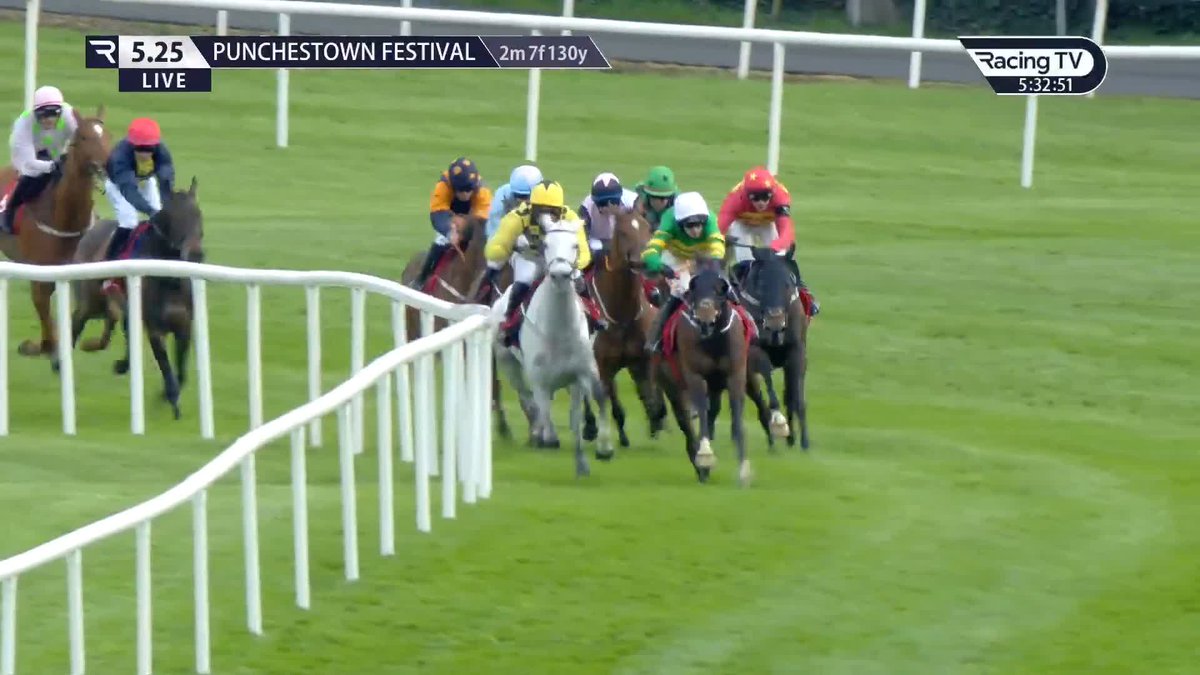 Punchestown on Twitter "Klassical Dream 🤝 Ladbrokes Champion Stayers