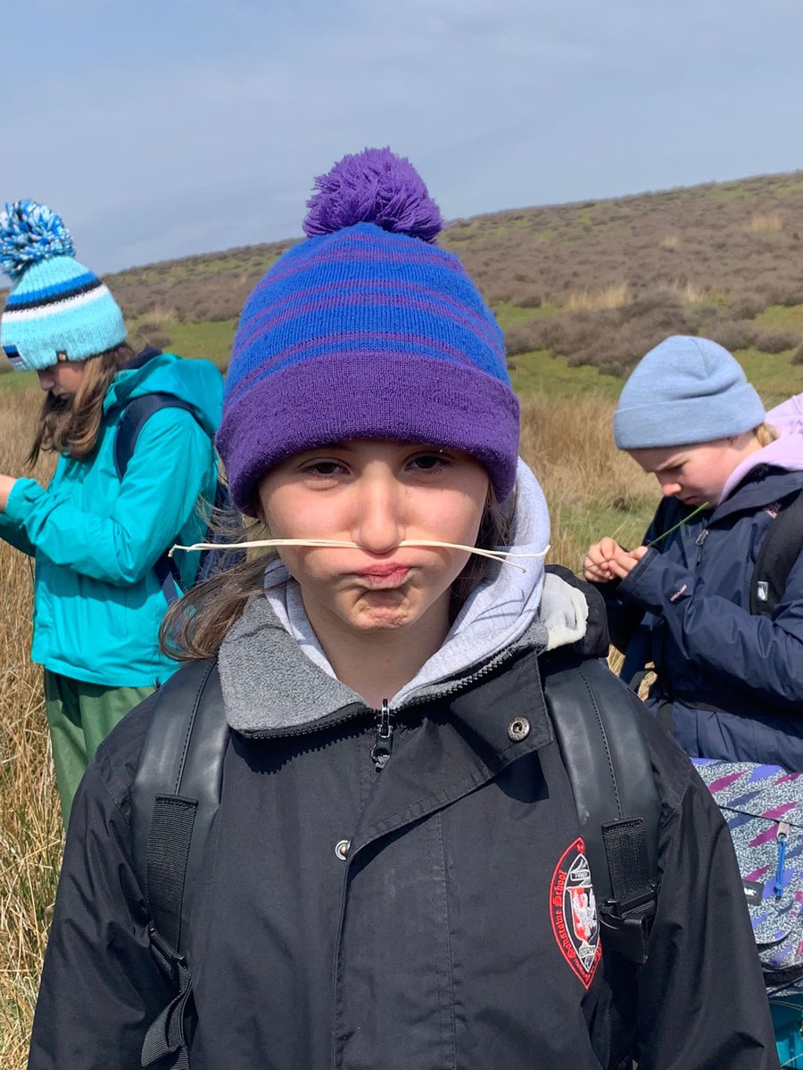 GodstoweTrips's tweet photo. Final day in the field. Invertebrate hunting together in the streams for us. https://t.co/niWqzyikQn