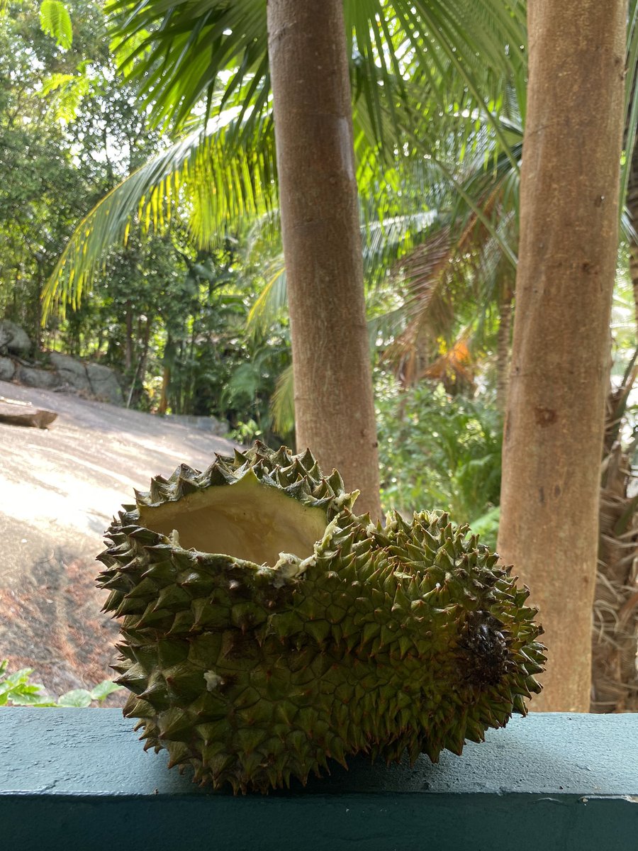 I love you deep if I share my durian with you 😋 #foodie #travel
