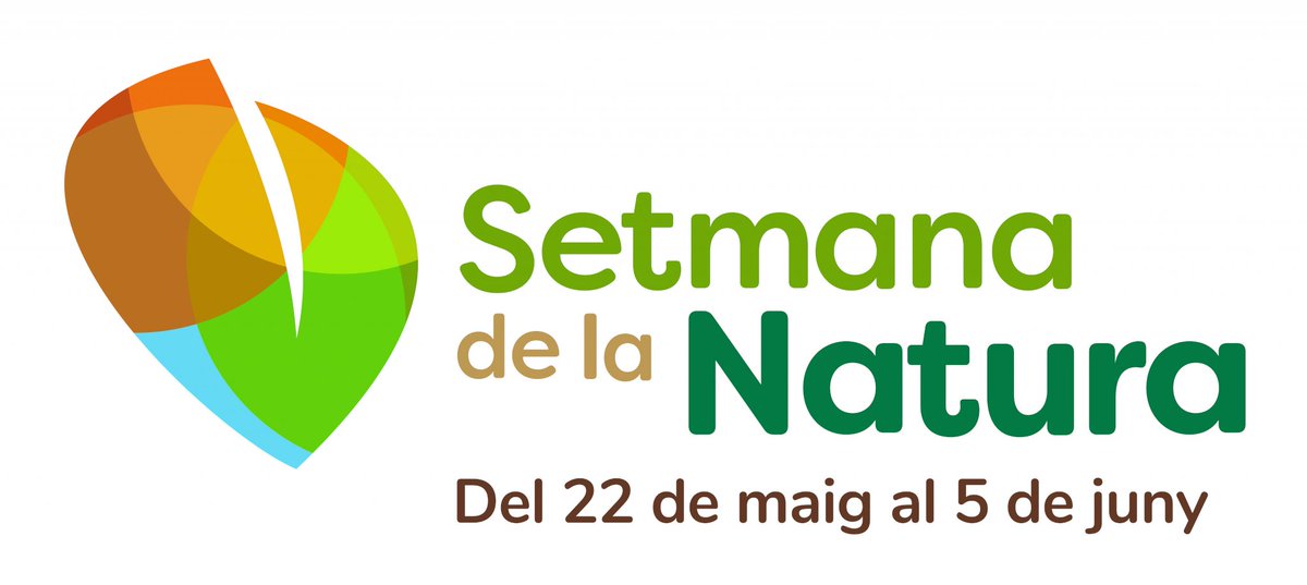ElRefugiEscola's tweet photo. #3Juny #SetmanaDeLaNatura Activitat Gratuïta. Caminem per un dels boscos joves de teix #TaxusBaccata. Però qui és el #Teix?
Creiem que són els darrers boscos dels Déus.
Què en penseu?
Reserveu. Places limitades.

 🌐https://t.co/6ghXJzeJrX
  
 #Garrotxa
#YewForest
#Biodiversity https://t.co/O5yhSi0ui8