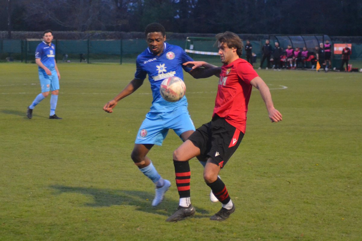 Local Bus Driver tweet media