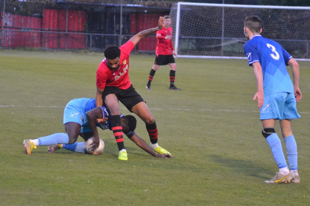 Local Bus Driver tweet media