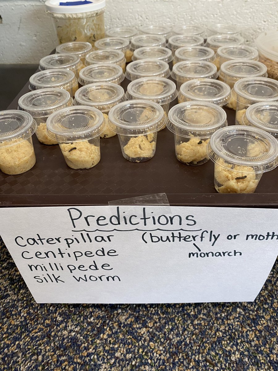We made some great predictions after observing insect # 1.