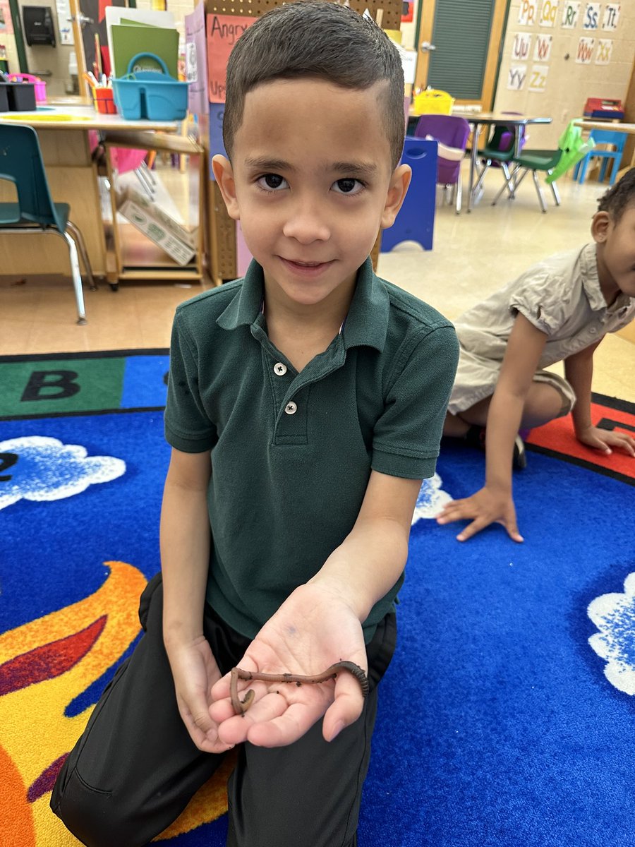 LaurenToffel's tweet photo. Learning about worms is always more fun when you have them in the classroom to feel and hold! We had some brave students today! #rm206 #jmfeclc #TogetherWeCan https://t.co/E4XkarDLk0