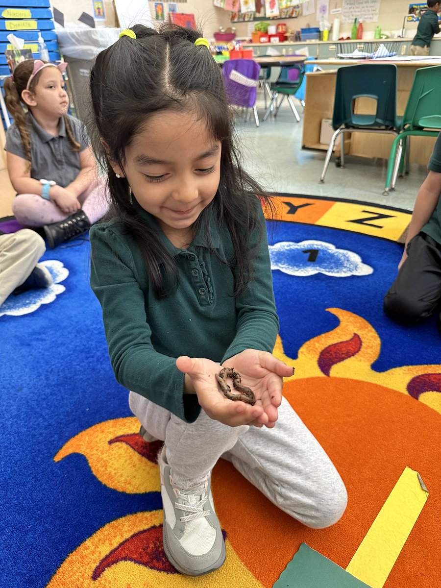LaurenToffel's tweet photo. Learning about worms is always more fun when you have them in the classroom to feel and hold! We had some brave students today! #rm206 #jmfeclc #TogetherWeCan https://t.co/E4XkarDLk0