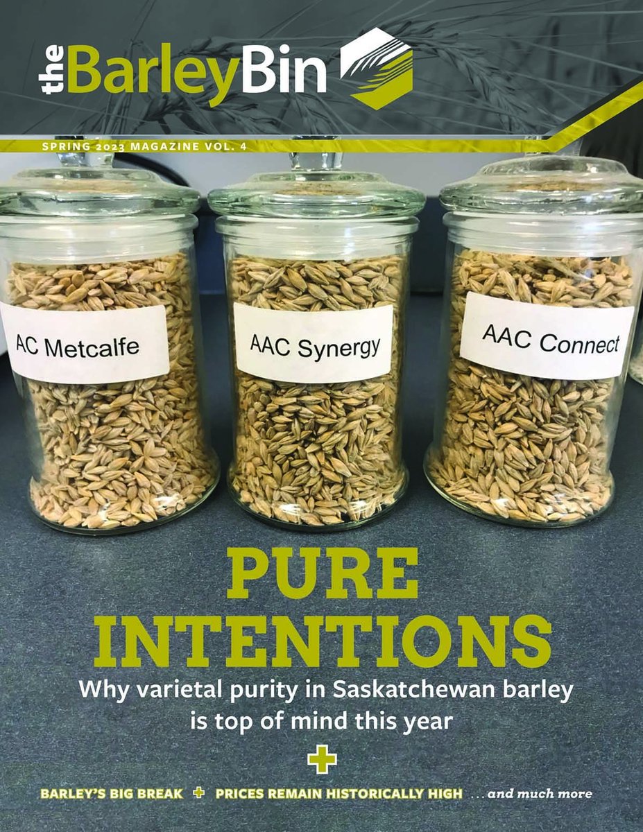 SaskBarley tweet media