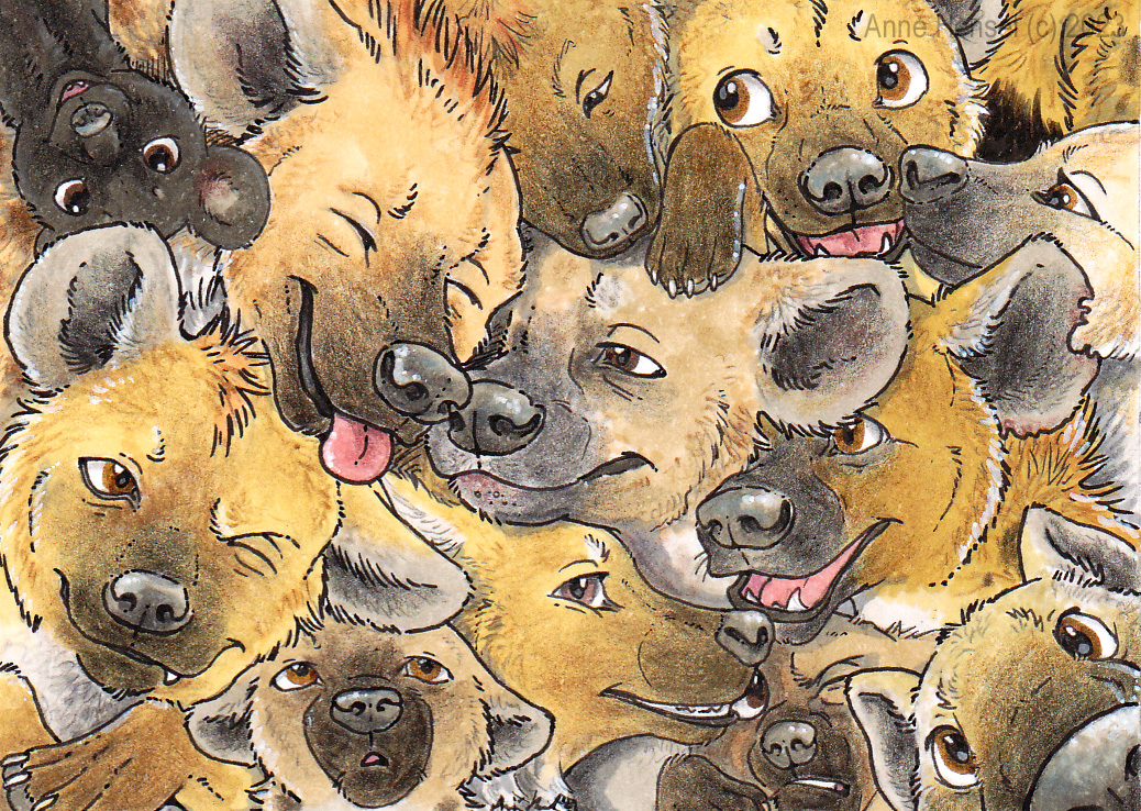 Anaviech's tweet photo. Happy International Hyena Day! :D https://t.co/N0upDFINoo