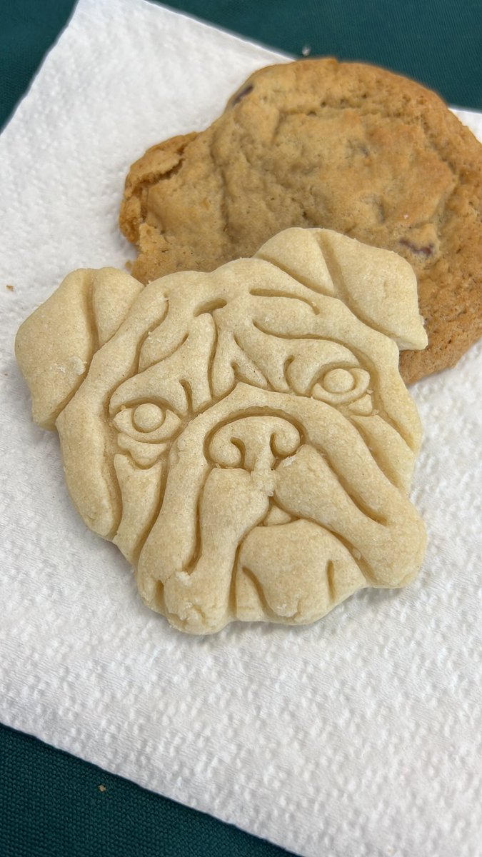 Thank you <a href="/DHSCulinary/">Duncanville High School Culinary Arts</a> for the delicious lunch and <a href="/she_radd/">shelby robertson</a> <a href="/bearjmu/">Shawn Sochaski</a> for the company 💚💛🍝🥗🍪