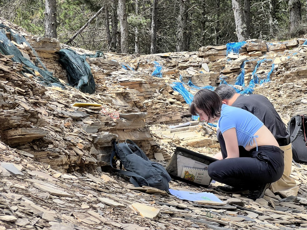 Phil Donoghue tweet media