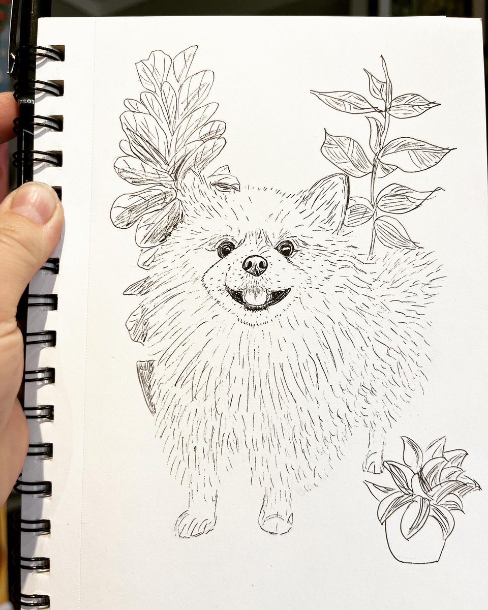 ItllGlowOnYou's tweet photo. I drew my little Pomeranian friend, Javi! He loves tropical plants, just like I do. He also smells like lavender!
☁️🪴
#chicagoartist #chicagoillustrator #petportrait #custompetportrait #chicagomaker #illustration #pomeranian #pomeranianart https://t.co/sbZbHkfkoO