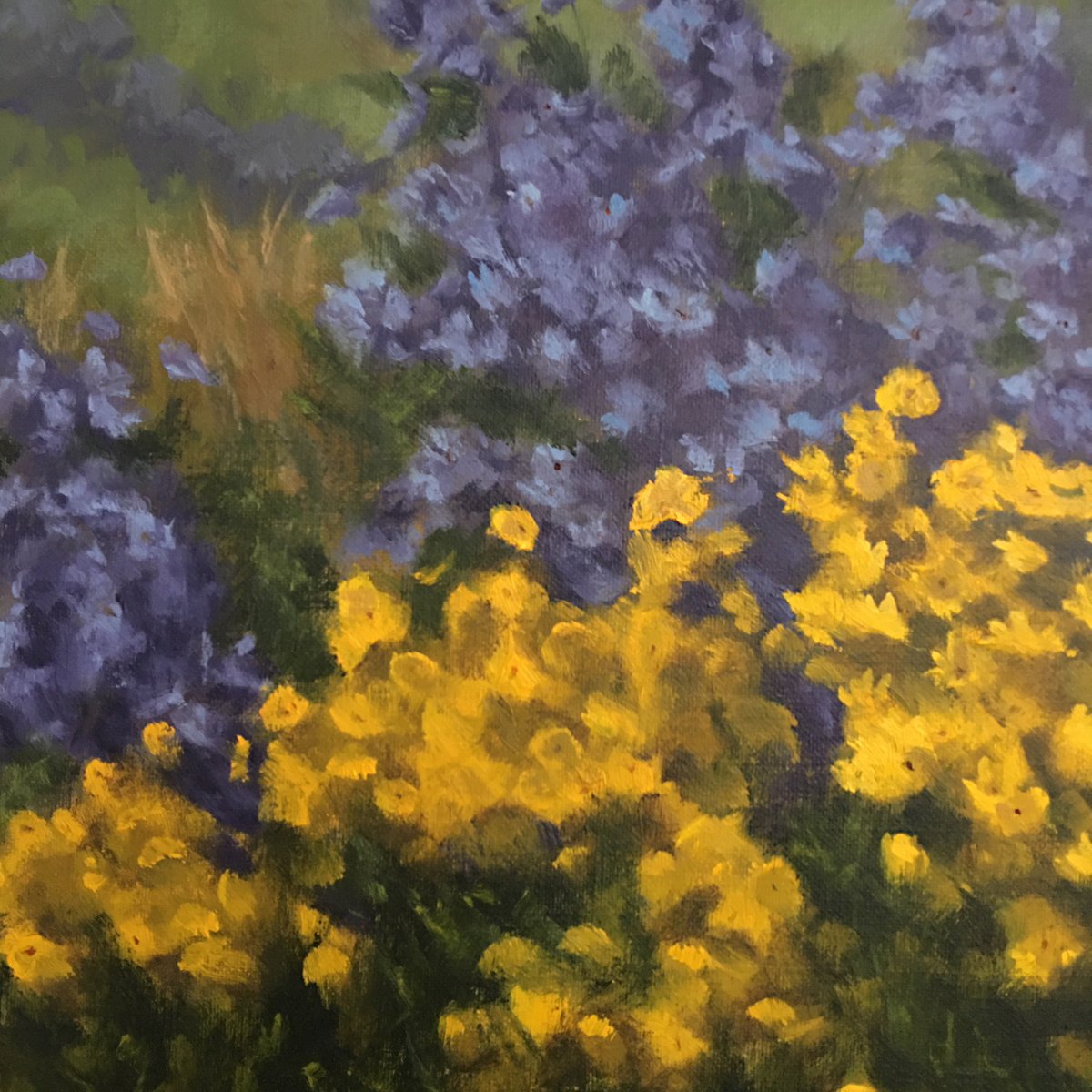 Cottage_Curator's tweet photo. Chumley's portrayal of still water provides the perfect place for reflection... [📷: "Asters and Coreopsis" by #KathyChumley] See her work in our online exhibition, #InBloom - https://t.co/Ny9hZ3PTns #asters #coreopsis #springblooms #virginiaartist https://t.co/IHAuBayIB0