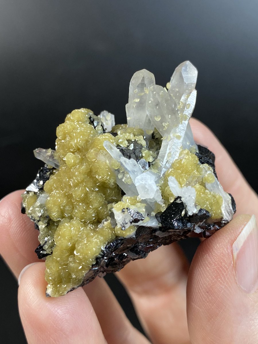 OldEarthMineral's tweet photo. Sphalerite, Siderite & Quartz Cluster $65 plus shipping
https://t.co/xm8Myw7gVQ
#siderite #crystalcluster #crystals #minerals #sphalerite #quartz #crystallove https://t.co/YnkY6GsmHa